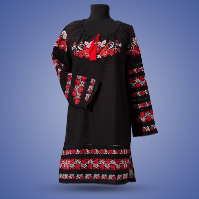 Embroidered dress "Kalyna"